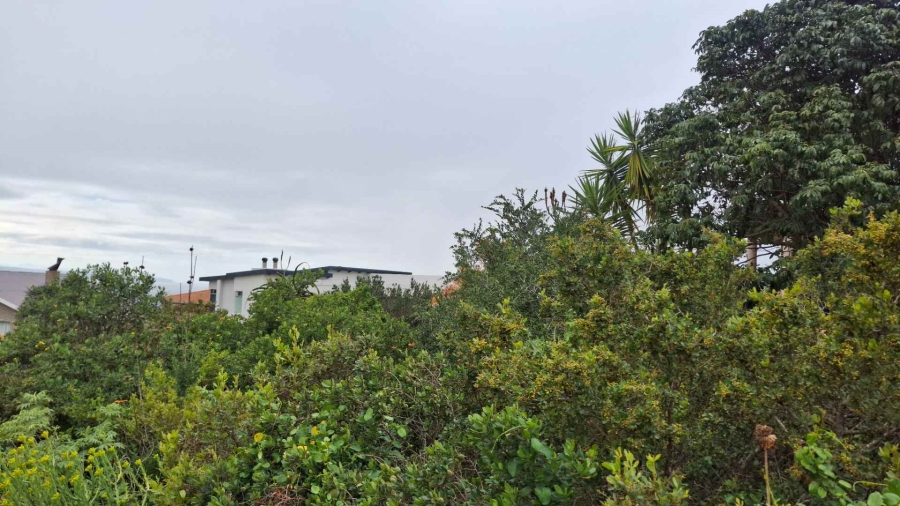 0 Bedroom Property for Sale in Vleesbaai Western Cape